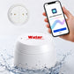 Smart Water Leak Detector